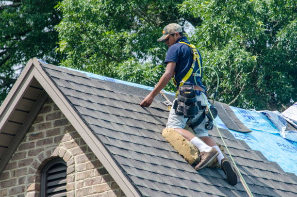 Best Roof Maintenance Services  in Redwood, OR